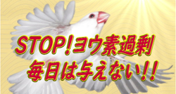STOP!ヨウ素過剰